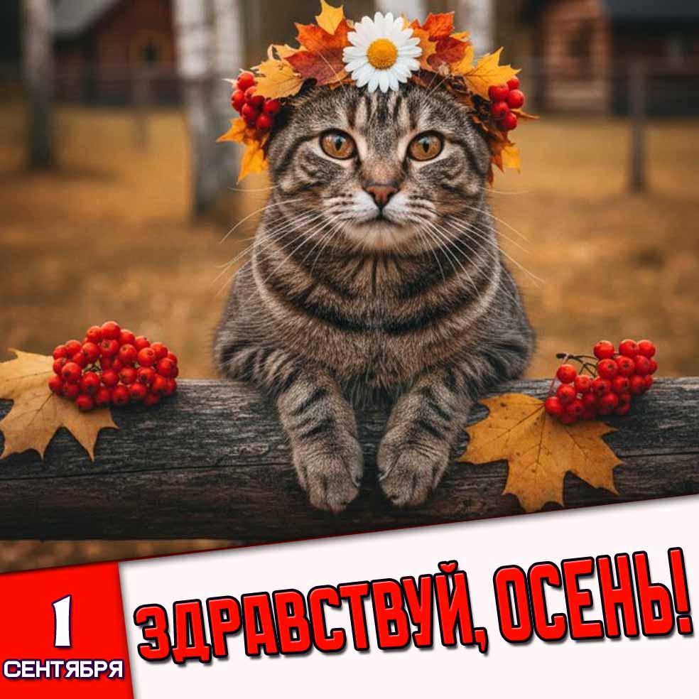 Картинка 1 сентября - Здравствуй, осень!