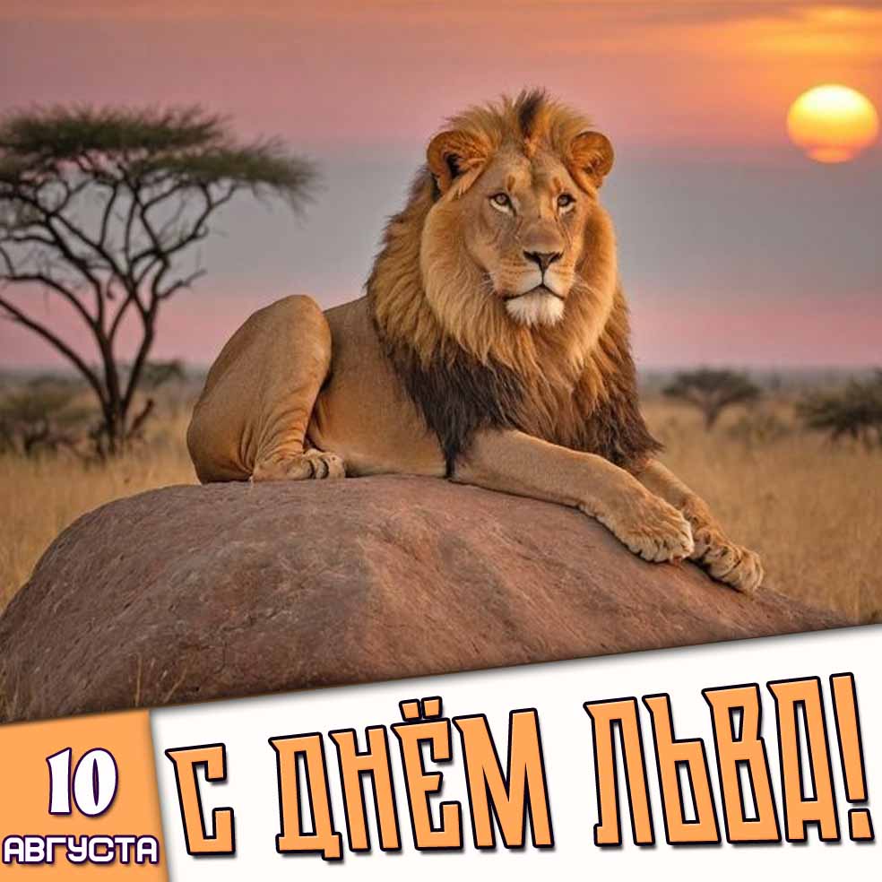 Картинка 10 августа - с днём льва!