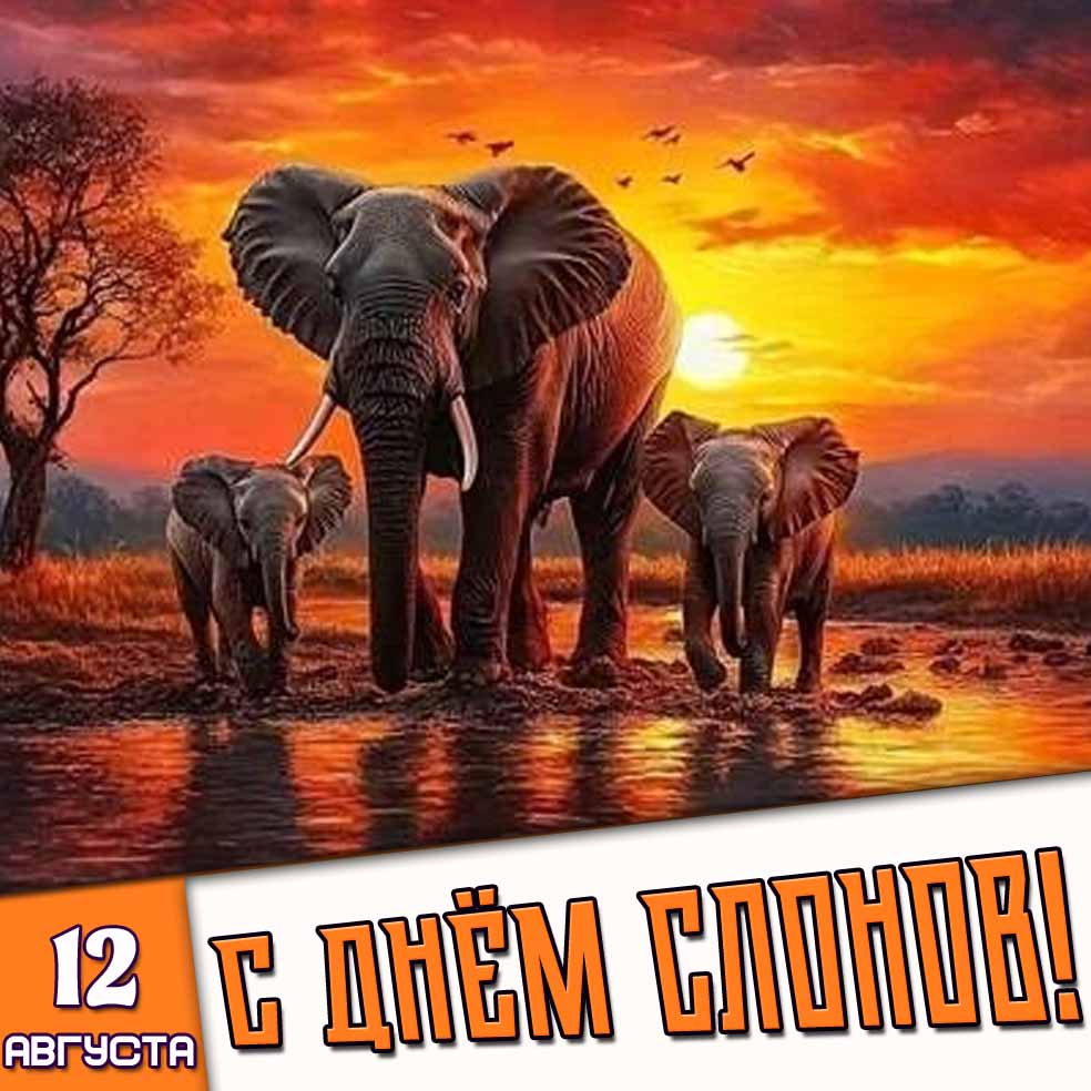 Открытка 12 августа - с днём слонов!