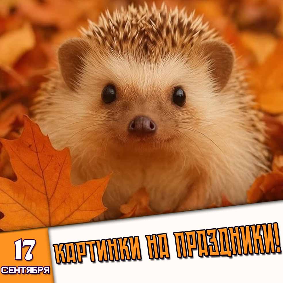 Картинки на праздники 17 сентября