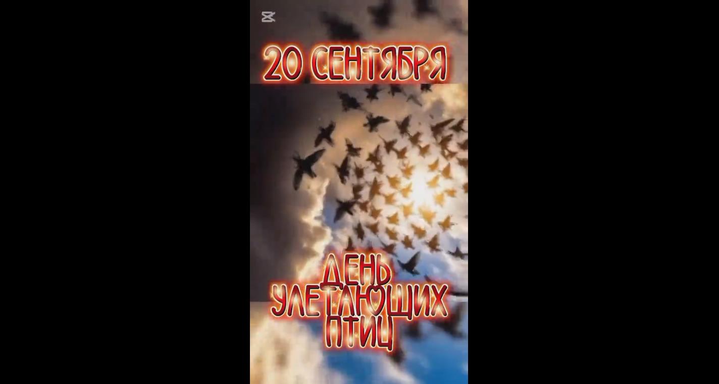 Видео открытка на день улетающих птиц - 20 сентября