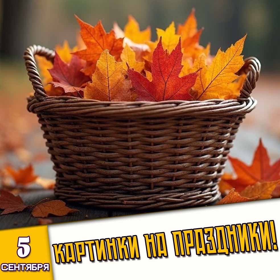 Картинки на праздники 5 сентября - Лучшие Поздравления!