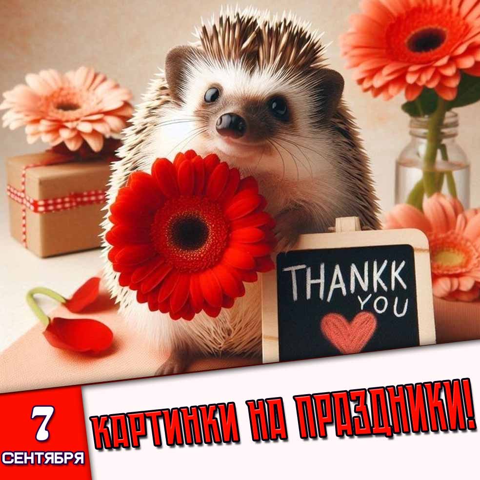Картинки на праздники 7 сентября