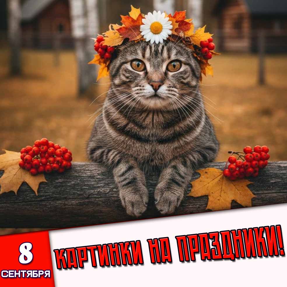 Картинки на праздники 8 сентября