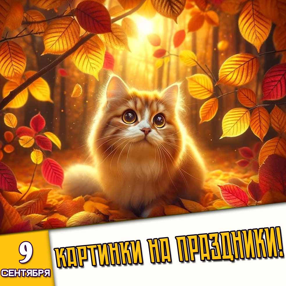 Картинки на праздники 9 сентября