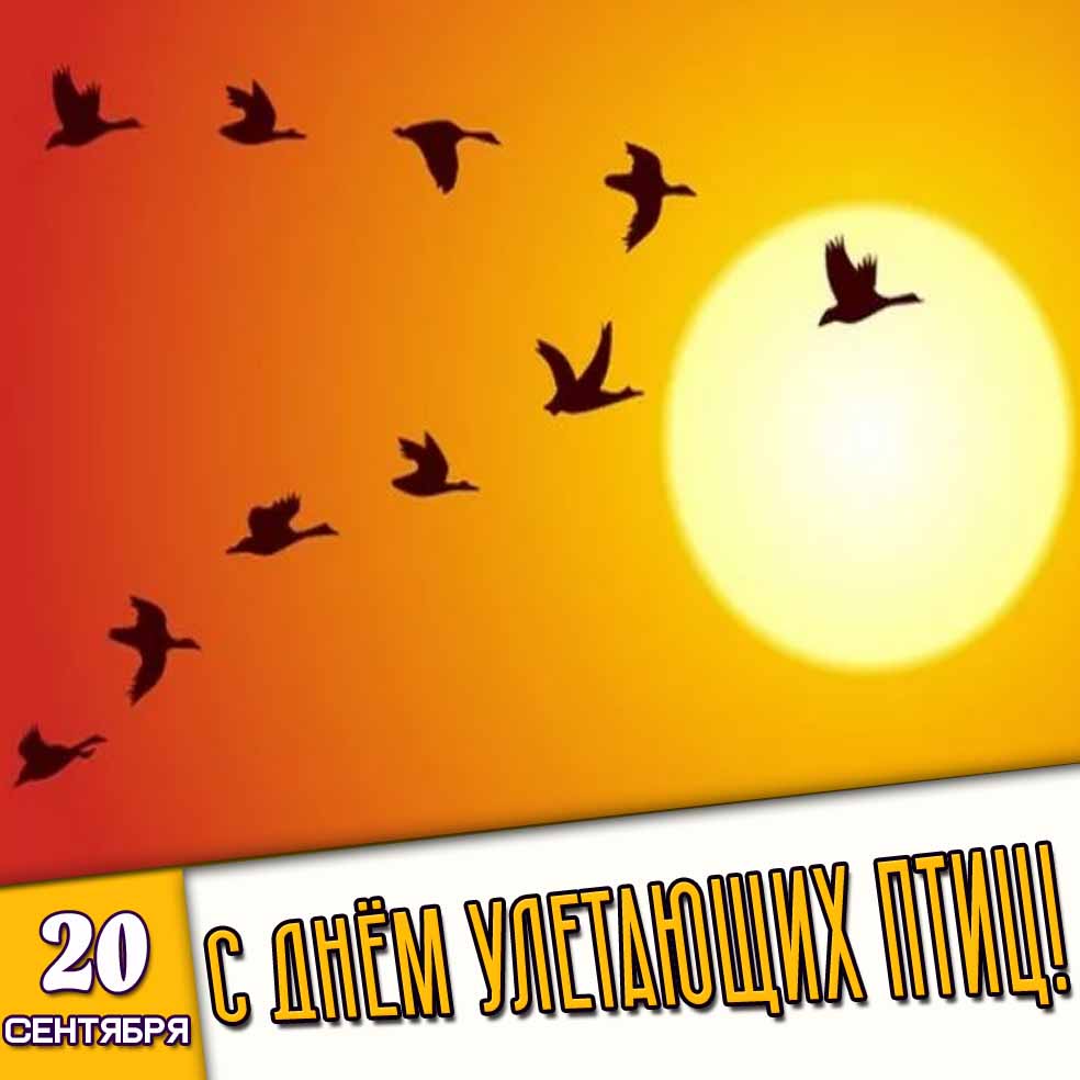 Картинка 20 сентября - с днём улетающих птиц!