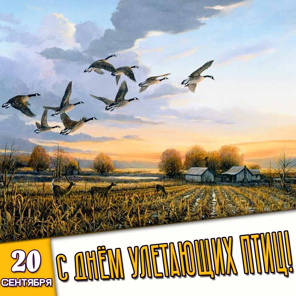 Открытка 20 сентября - с днём улетающих птиц!
