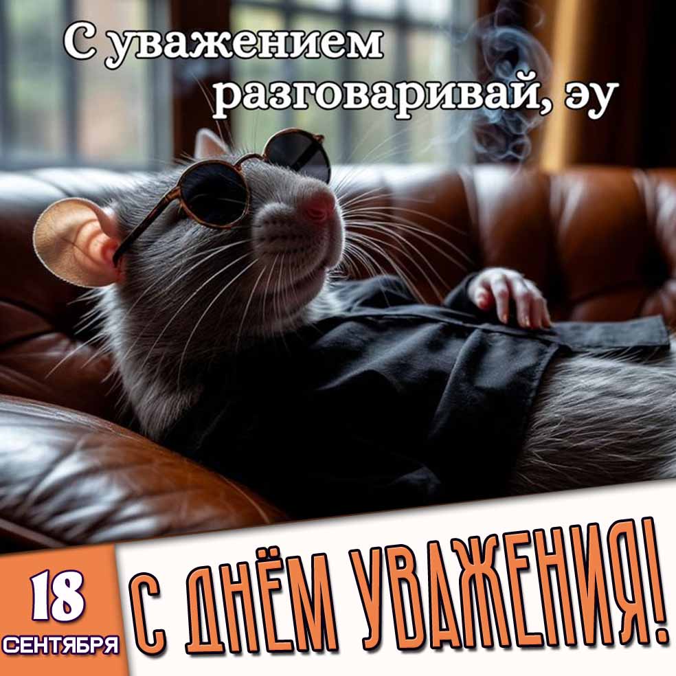 Смешная картинка 18 сентября - с днём уважения! С уважение разговаривай, эу!