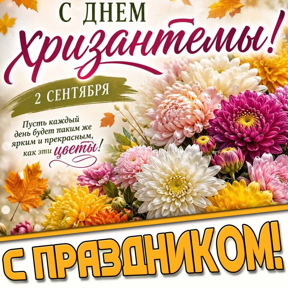 Картинка 2 сентября - с днём хризантемы! Пусть каждый день будет таким же ярким и прекрасным, как эти цветы! С праздником!