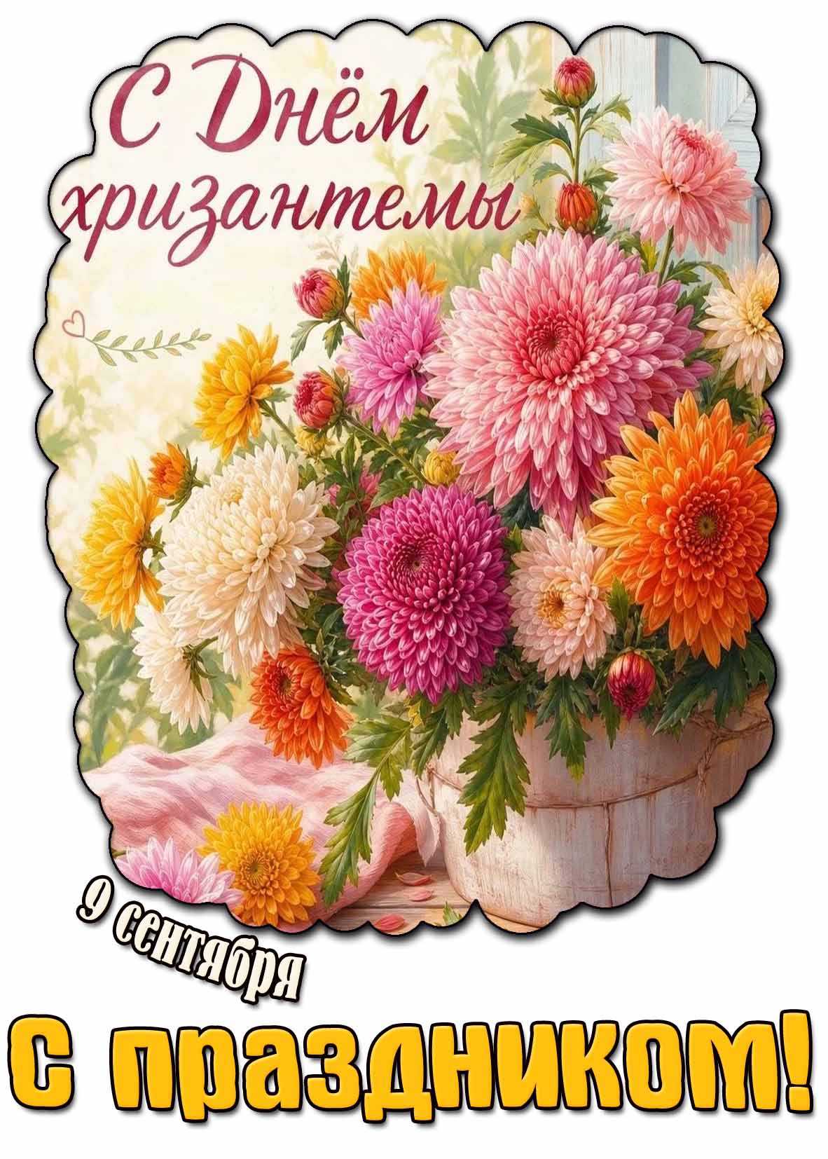 Картинка 9 сентября - с днём хризантемы! С праздником!
