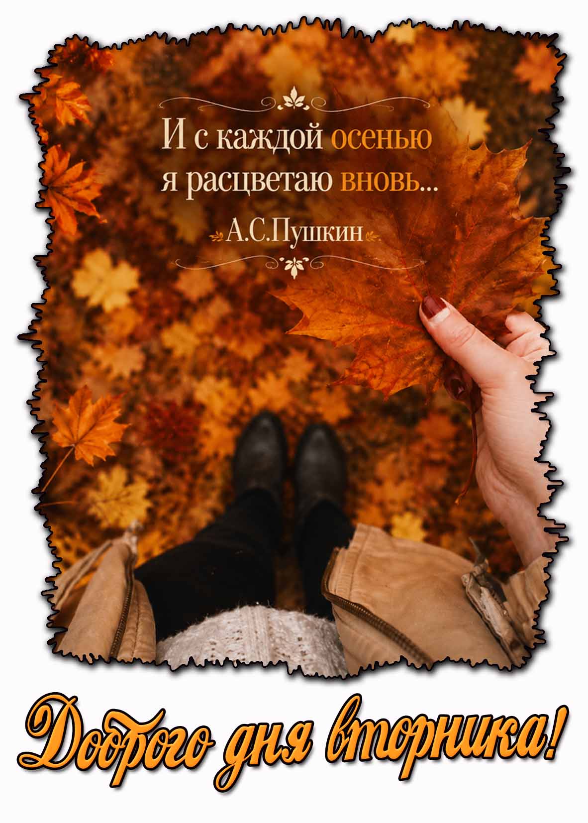Картинка "Доброго дня вторника! И с каждой осенью я расцветаю вновь..."