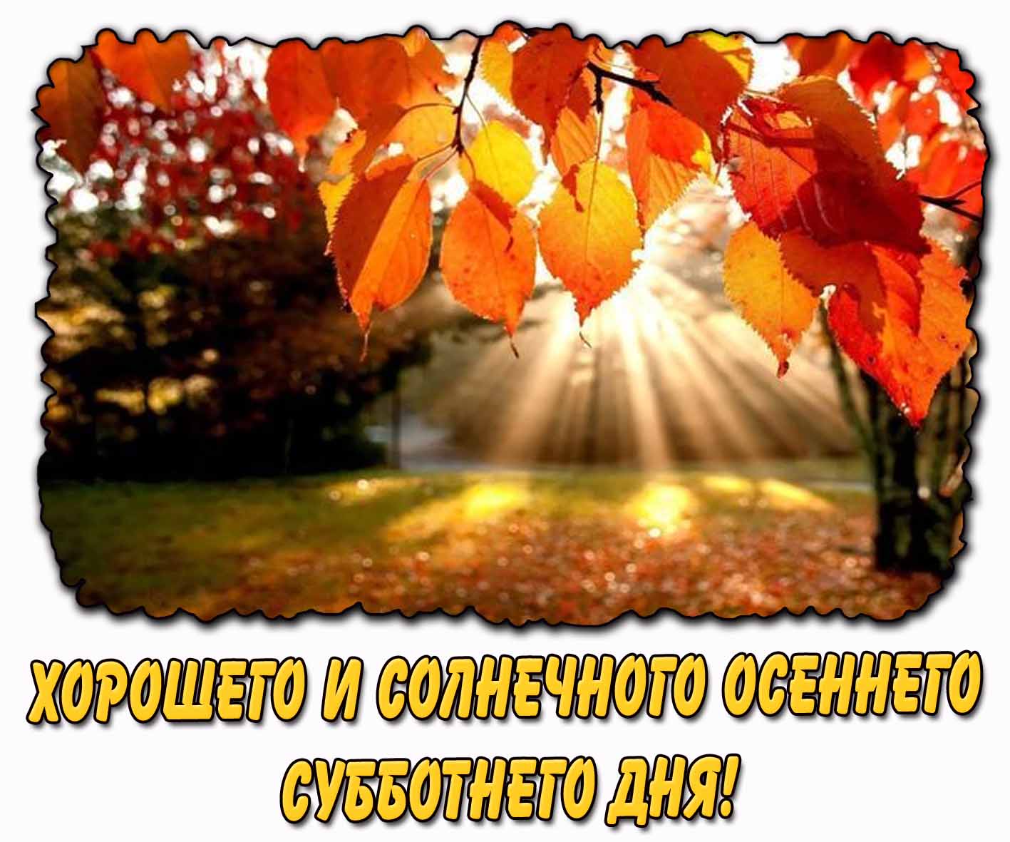 Открытка хорошего и солнечного осеннего субботнего дня