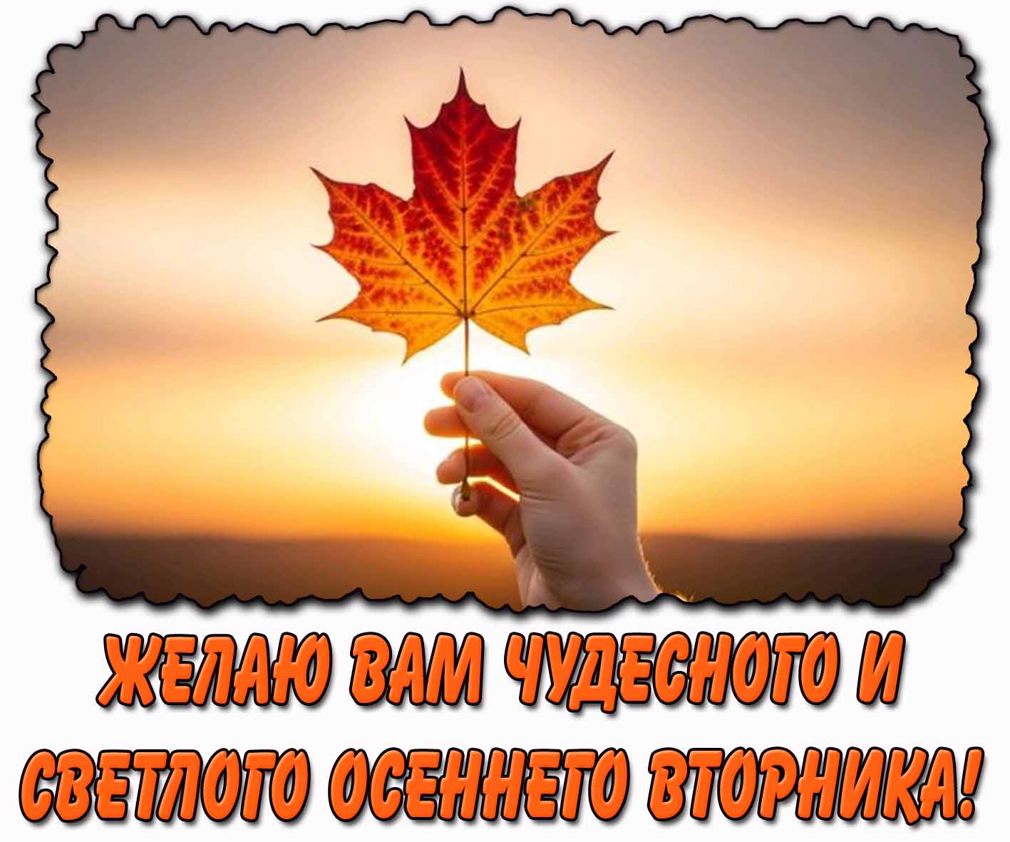 Открытка желаю вам чудесного и светлого осеннего вторника