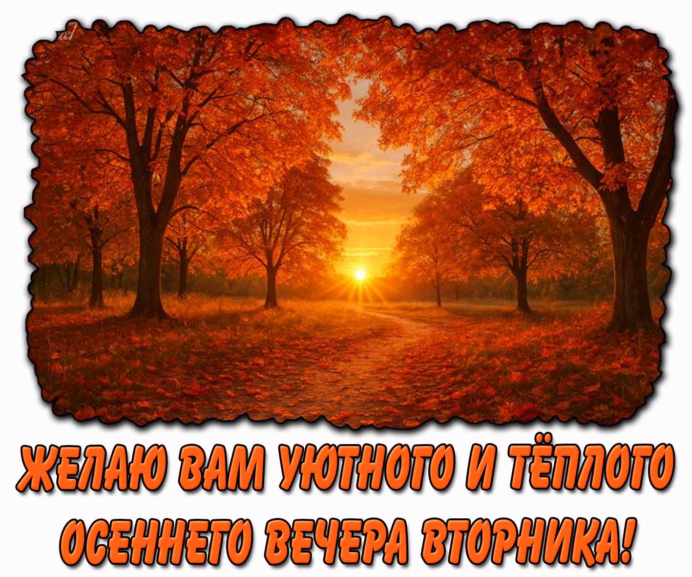 Открытка желаю вам уютного и тёплого осеннего вечера вторника