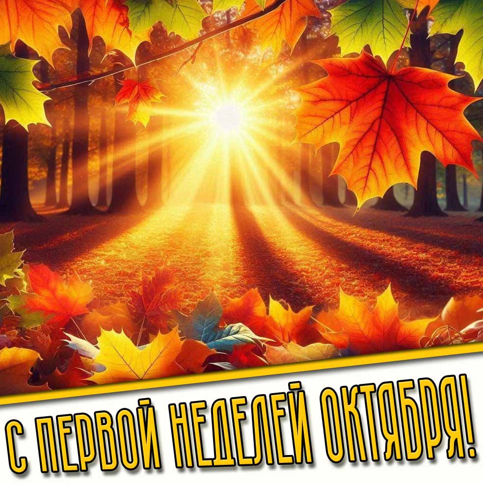 Картинка с первой неделей октября