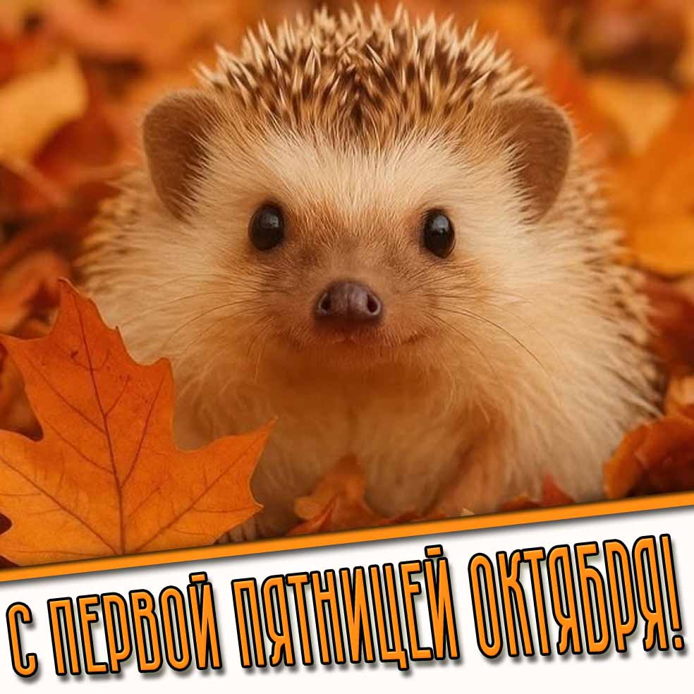 С первой пятницей октября! - открытка с ёжиком