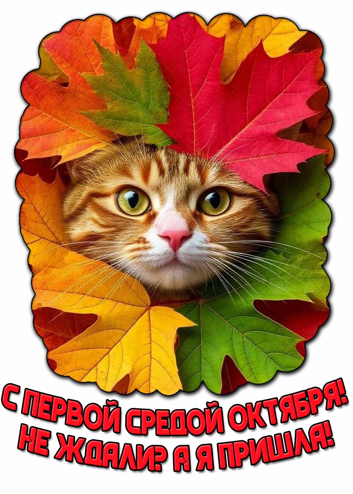 Прикольная открытка "С первой средой октября! Не ждали? А я пришла!"