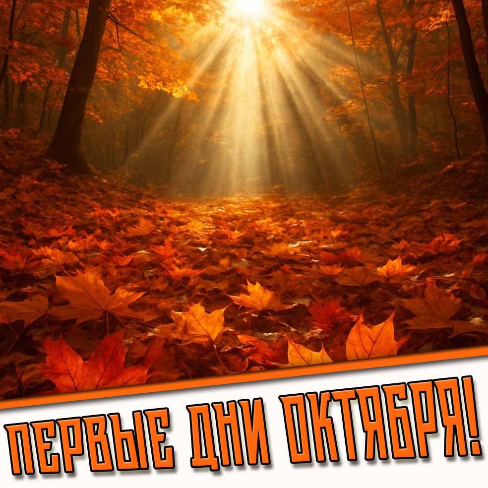 Картинки на первые дни октября