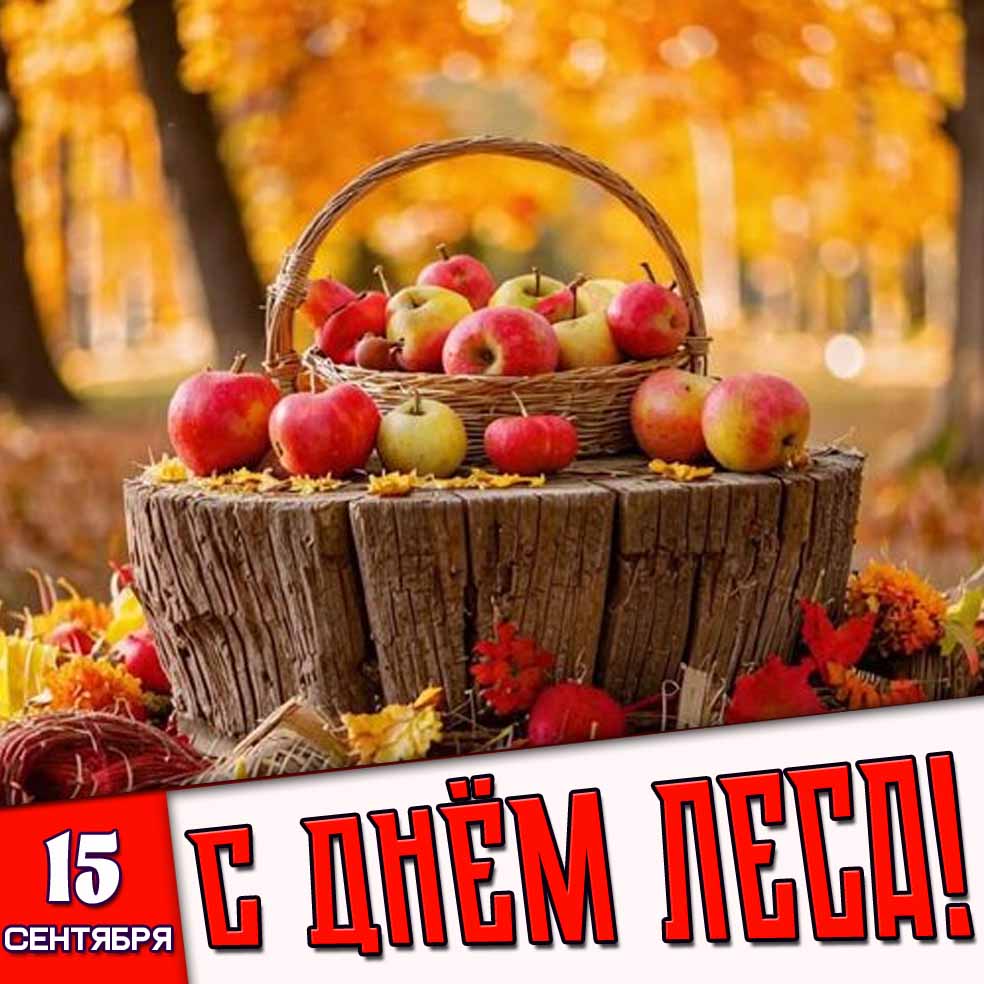 Картинка 15 сентября - с днём леса!