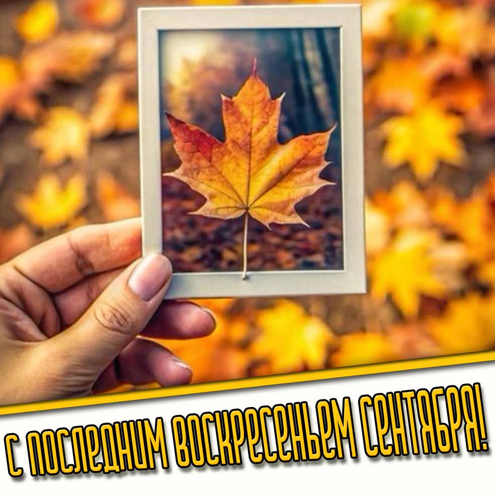 Красивая картинка с последним воскресеньем сентября