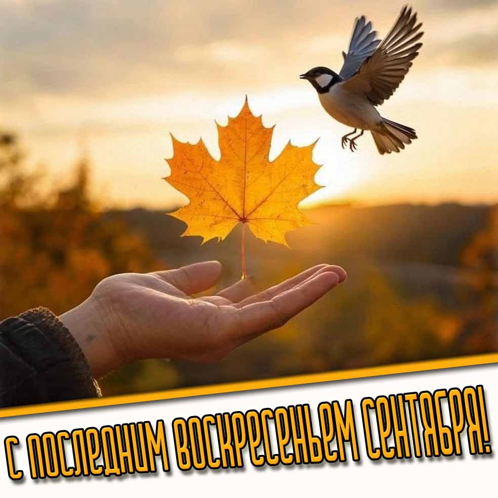 С последним воскресеньем сентября! - открытка с птичкой и листом