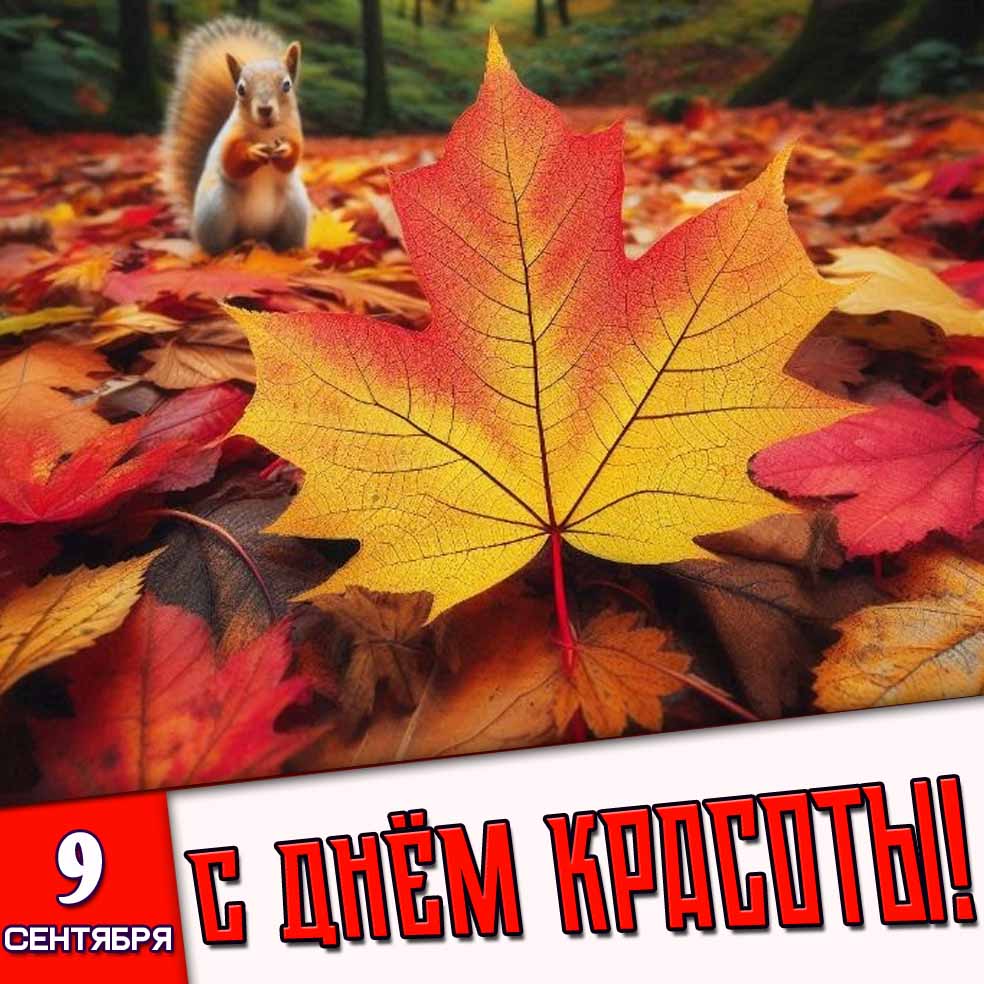 Картинка 9 сентября - с днём красоты!