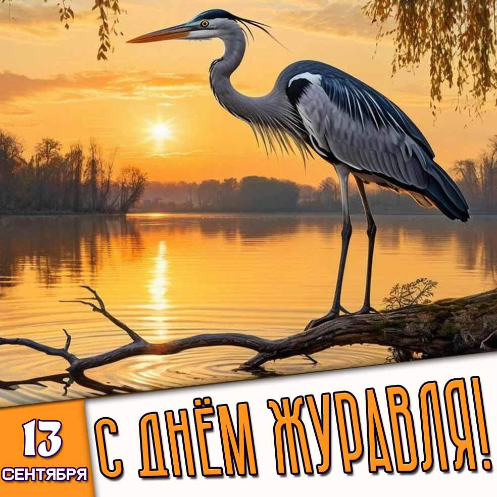 Картинка 13 сентября - с днём журавля!