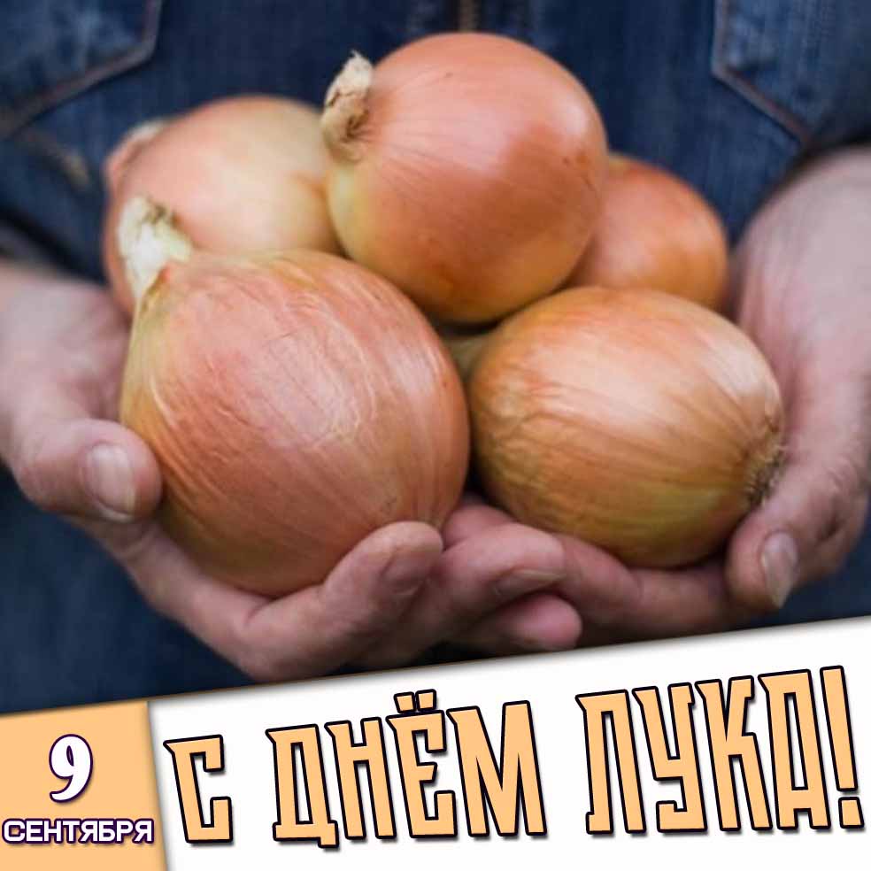 Картинка 9 сентября - с днём лука!