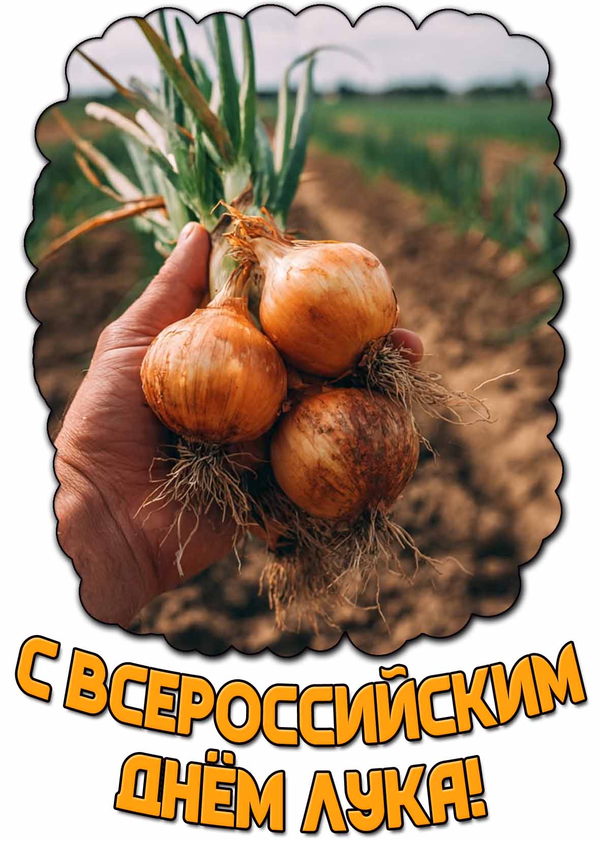 Красивая открытка с Всероссийским днём лука