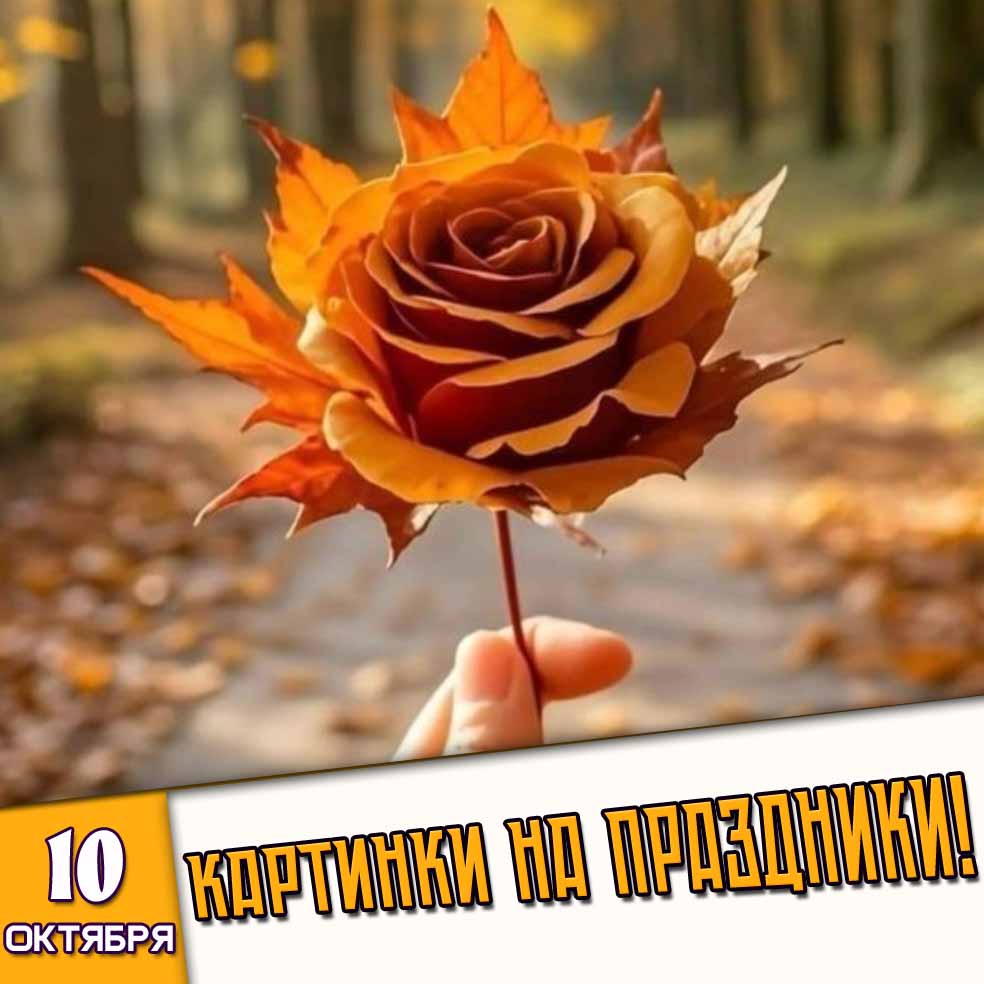 Картинки на праздники 10 октября