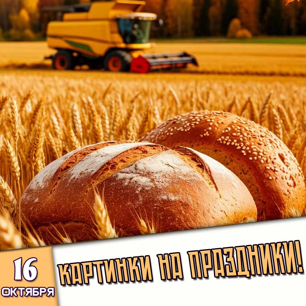 Картинки на праздники 16 октября - Лучшие Поздравления!