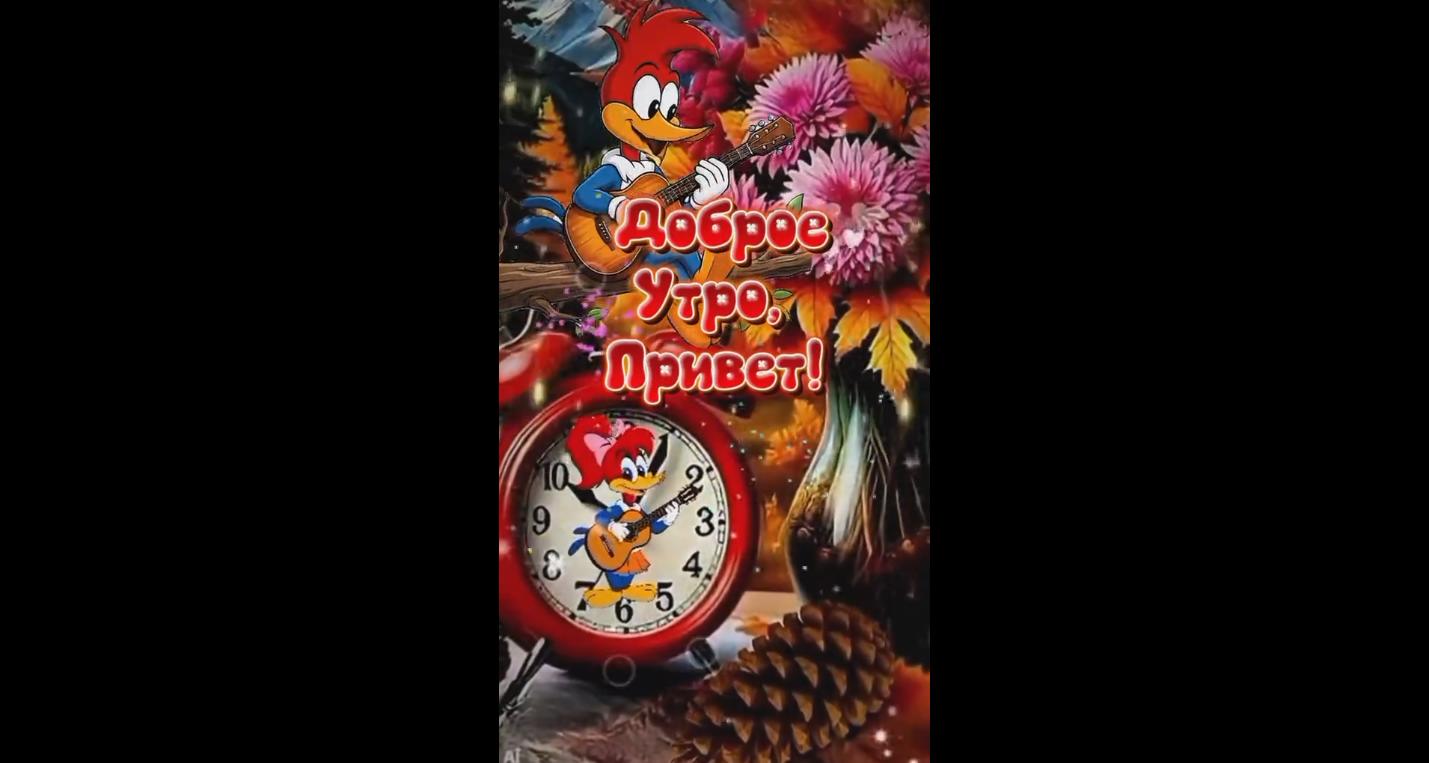 Прикольная осенняя видео открытка "Доброе утро, привет!"