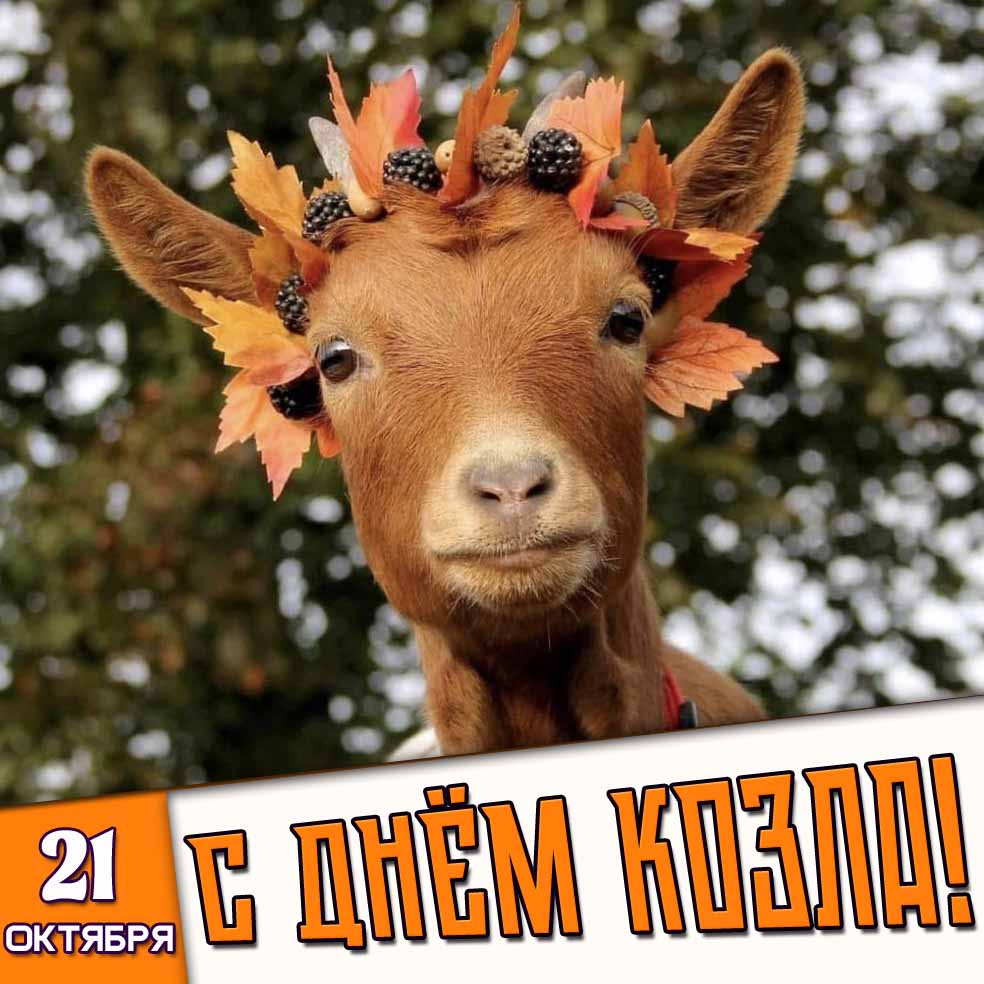 Осенняя картинка 21 октября - с днём козла!