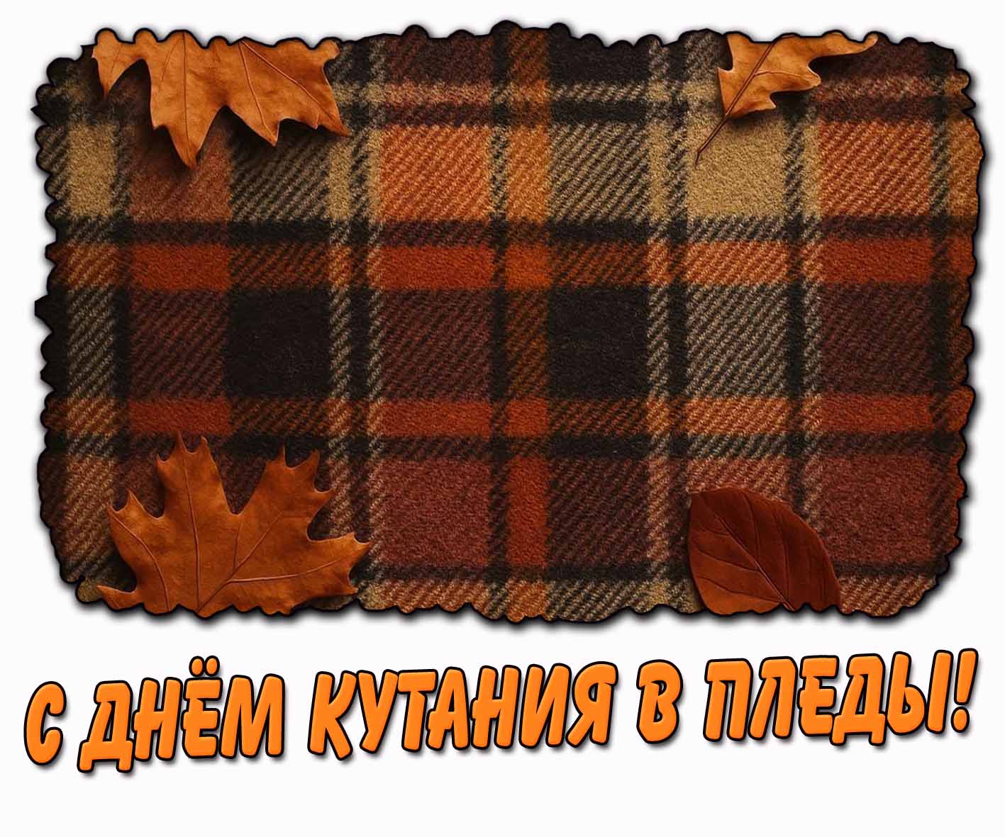 Картинка с днём кутания в пледы