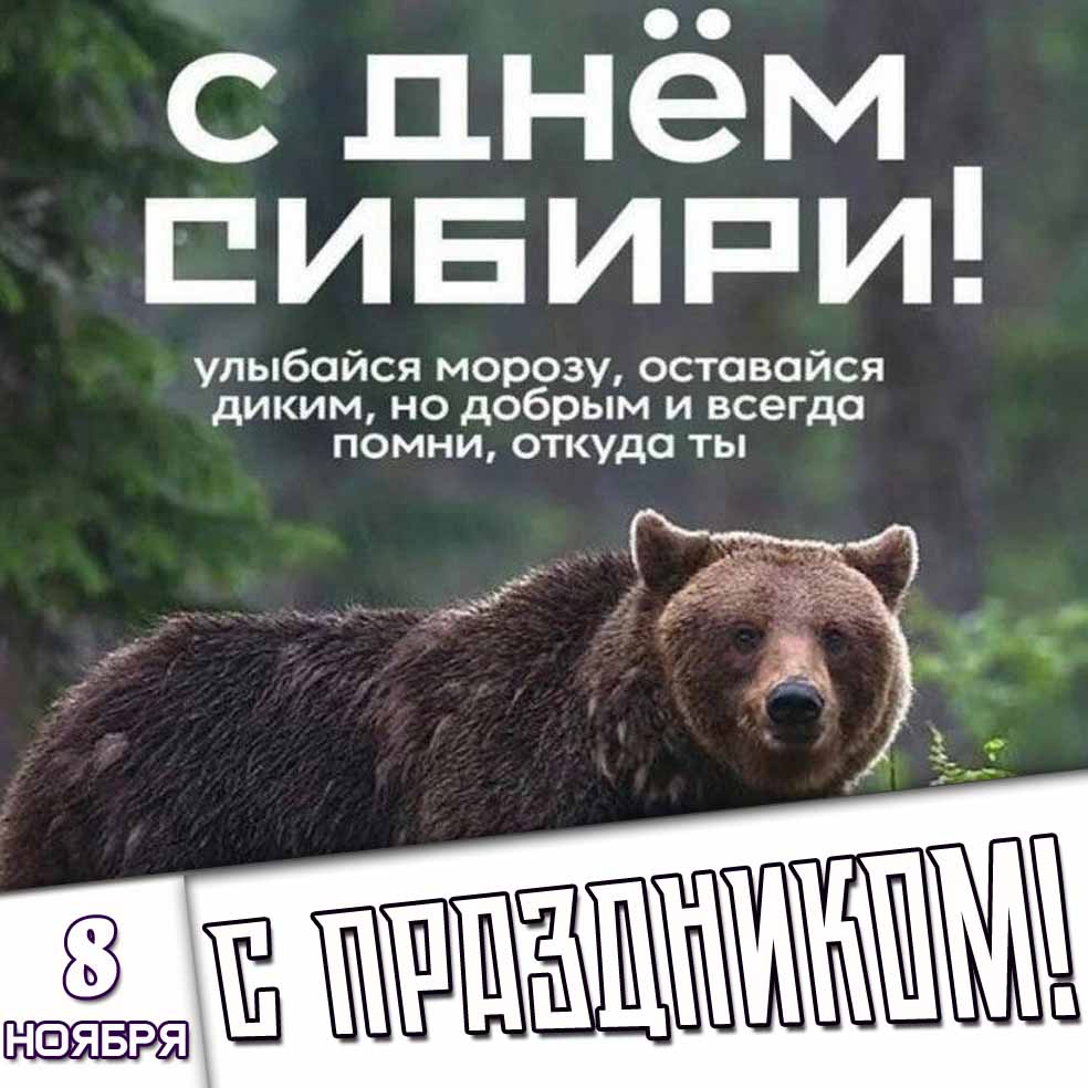 Картинка 8 ноября - с днём Сибири! Улыбайся морозу, оставайся диким, но добрым и всегда помни, откуда ты! С праздником!