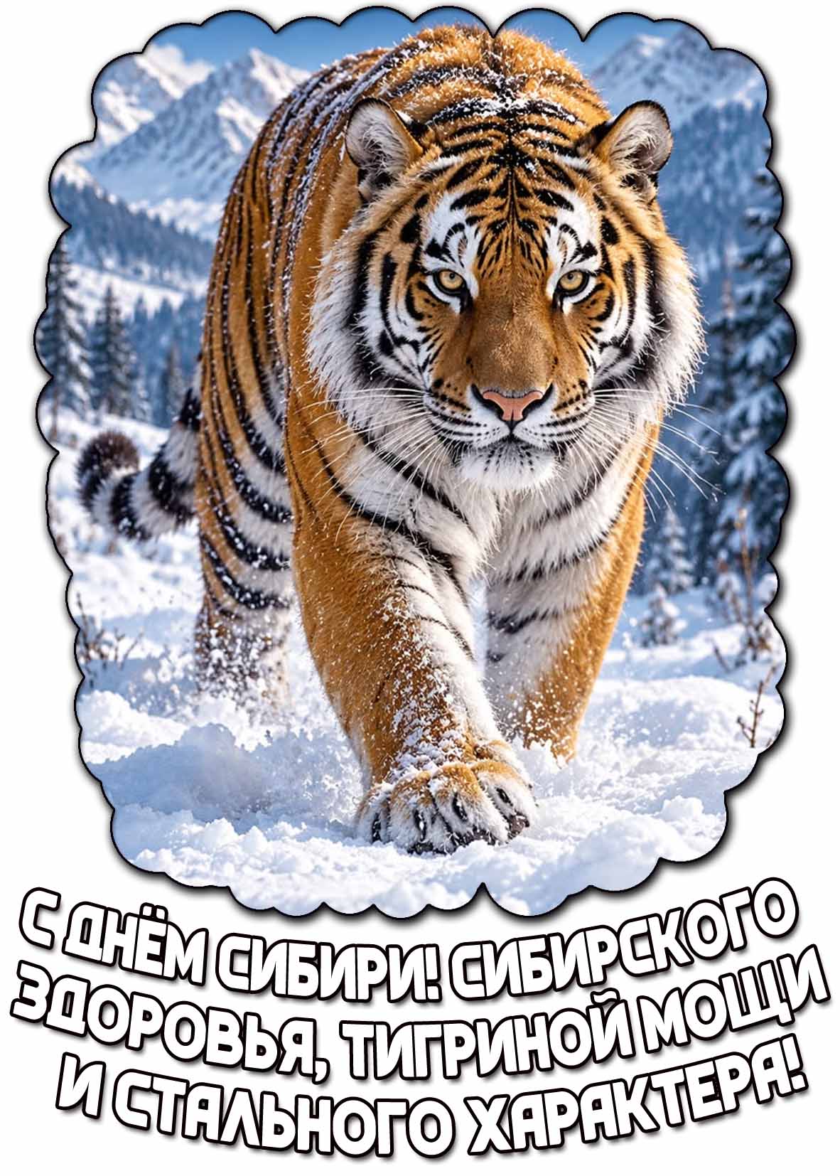 Открытка "С днём Сибири! Сибирского здоровья, тигриной мощи и стального характера!"