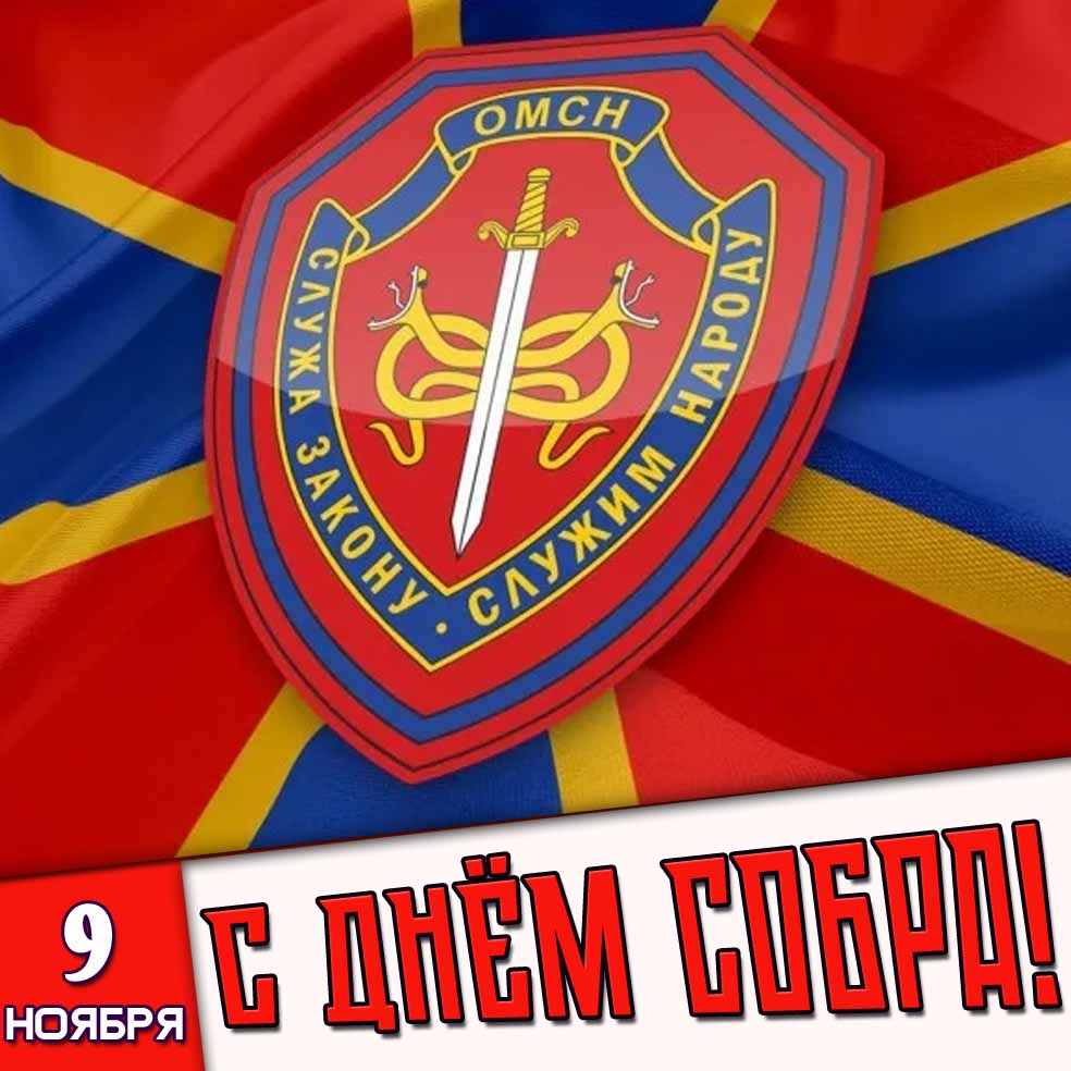 Красивая и стильная картинка с гербом и флагом специальных подразделений к празднику 9 ноября - с днём СОБРа! (ОМСН) Служа закону - служим народу! Картинка 9 ноября - с днём СОБРа! (ОМСН) Служа закону - служим народу!