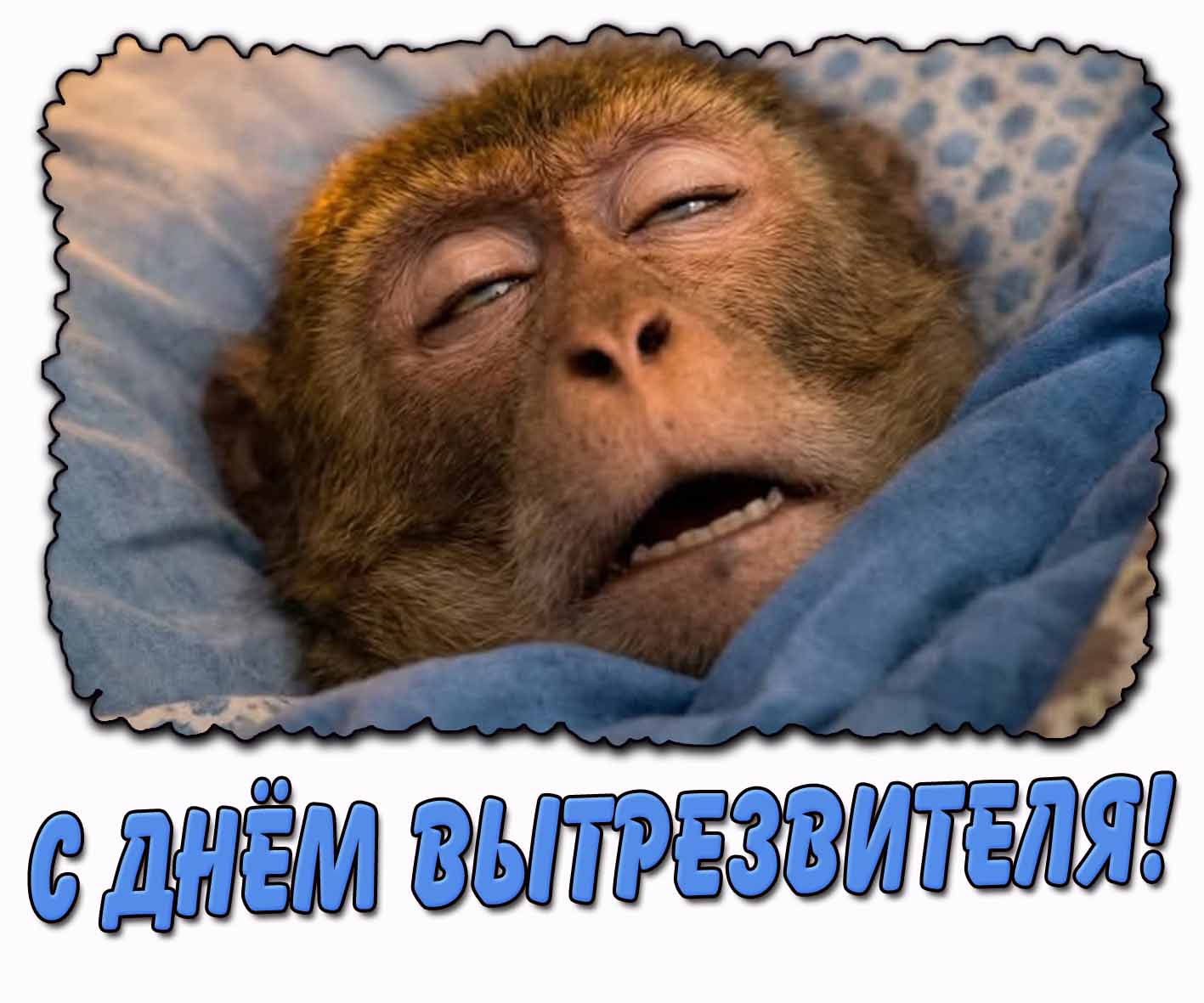 Смешная открытка с днём вытрезвителя