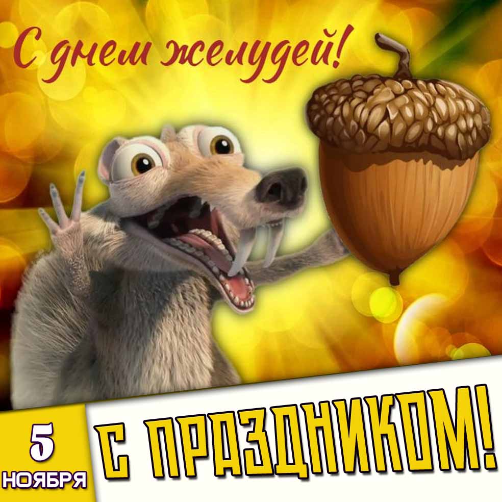 Смешная картинка 5 ноября - с днём желудей! С праздником!