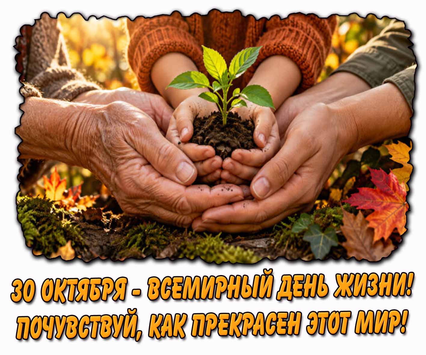 Красивая осенняя открытка с ростком растения в руках к празднику 30 октября - Всемирный день жизни! Почувствуй, как прекрасен этот мир! Картинка 30 октября - Всемирный день жизни! Почувствуй, как прекрасен этот мир!