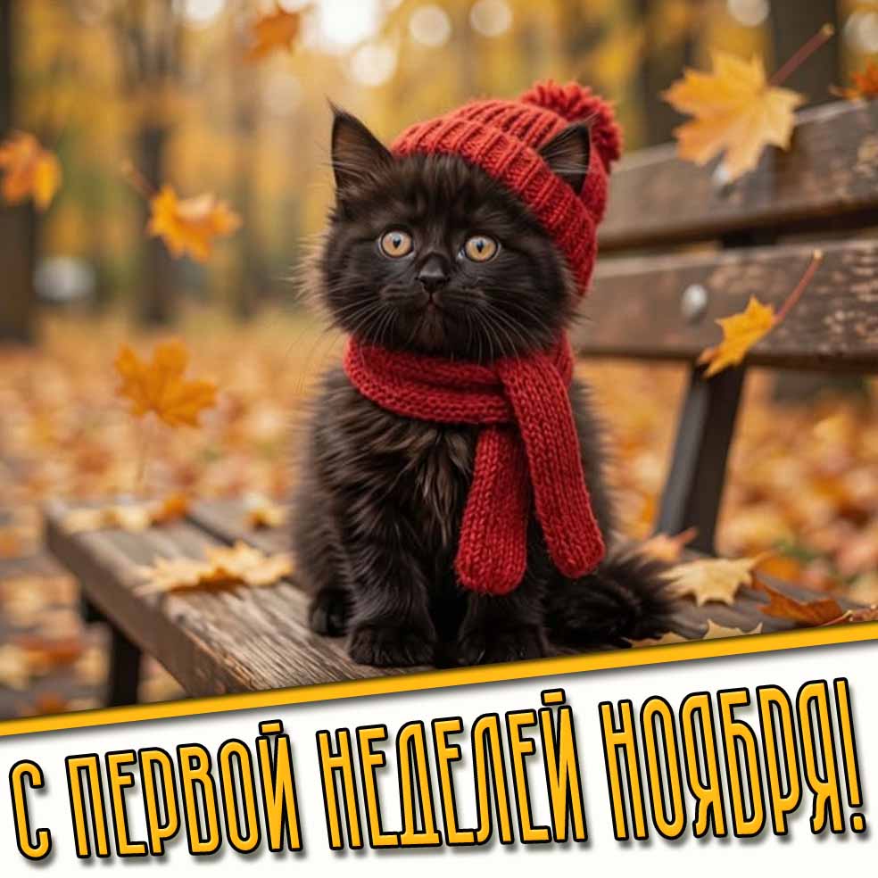 Открытка с забавным чёрненьким котёнком в шапке и шарфе на фоне падающих листьев, чтобы поздравить : С первой неделей ноября! Забавная открытка с первой неделей ноября