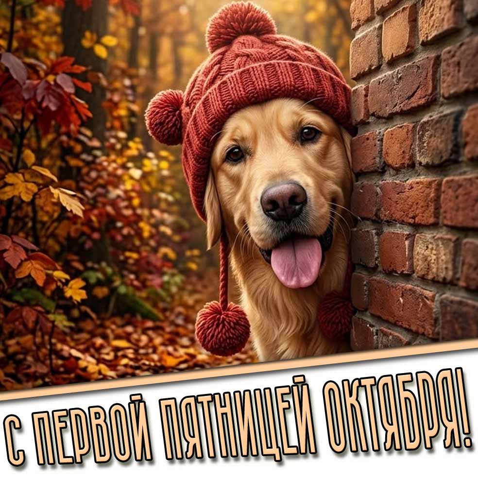 С первой пятницей октября! - открытка с прикольной собакой